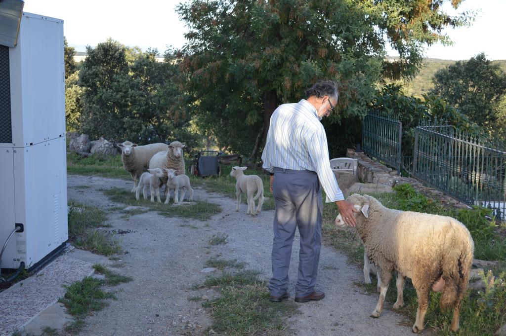 Casa Rural Las Gamitas Otel Almoharin Dış mekan fotoğraf