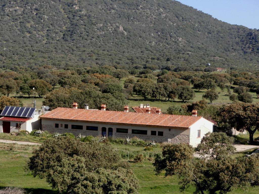 Casa Rural Las Gamitas Otel Almoharin Dış mekan fotoğraf
